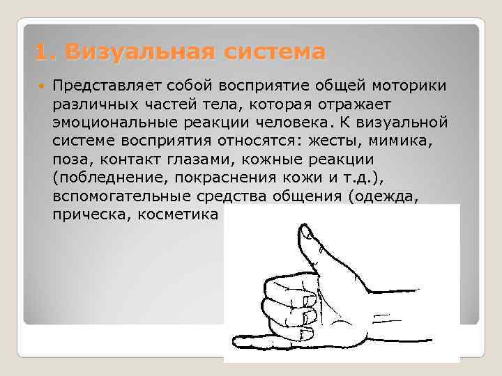 1. Визуальная система Представляет собой восприятие общей моторики различных частей тела, которая отражает эмоциональные