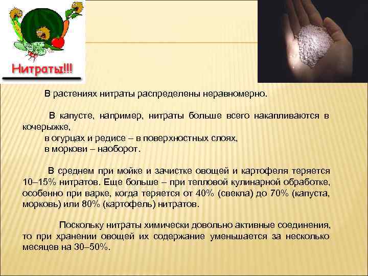  В растениях нитраты распределены неравномерно.   В капусте,  например,  нитраты