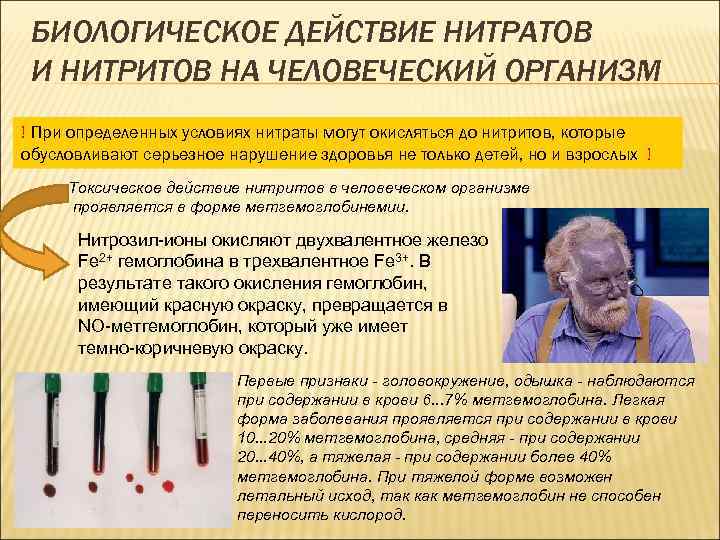  БИОЛОГИЧЕСКОЕ ДЕЙСТВИЕ НИТРАТОВ И НИТРИТОВ НА ЧЕЛОВЕЧЕСКИЙ ОРГАНИЗМ ! При определенных условиях нитраты