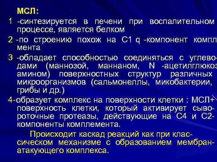   МСЛ: 1 -синтезируется в печени при воспалительном  процессе, является белком 2