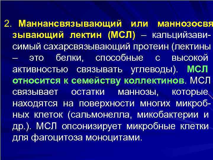 2. Маннансвязывающий или маннозосвя  зывающий лектин (МСЛ) – кальцийзави-  симый сахарсвязывающий протеин