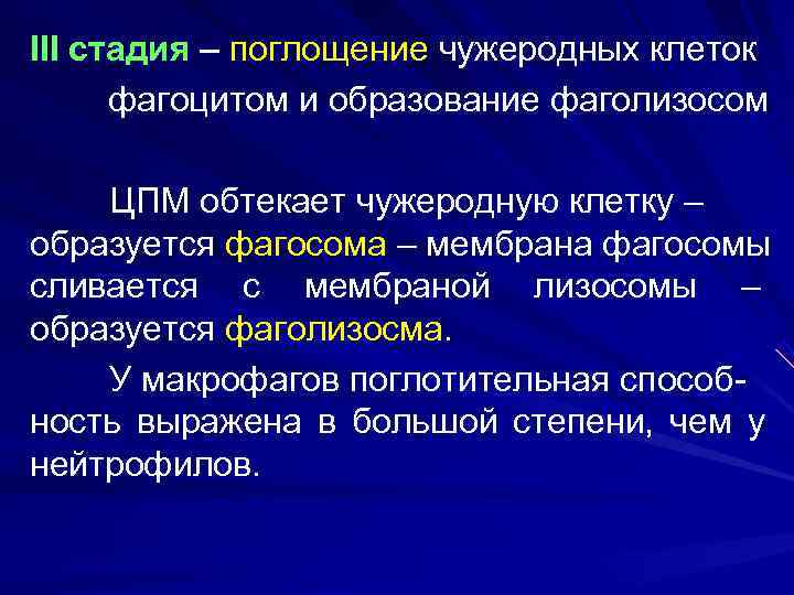 III стадия – поглощение чужеродных клеток  фагоцитом и образование фаголизосом ЦПМ обтекает чужеродную