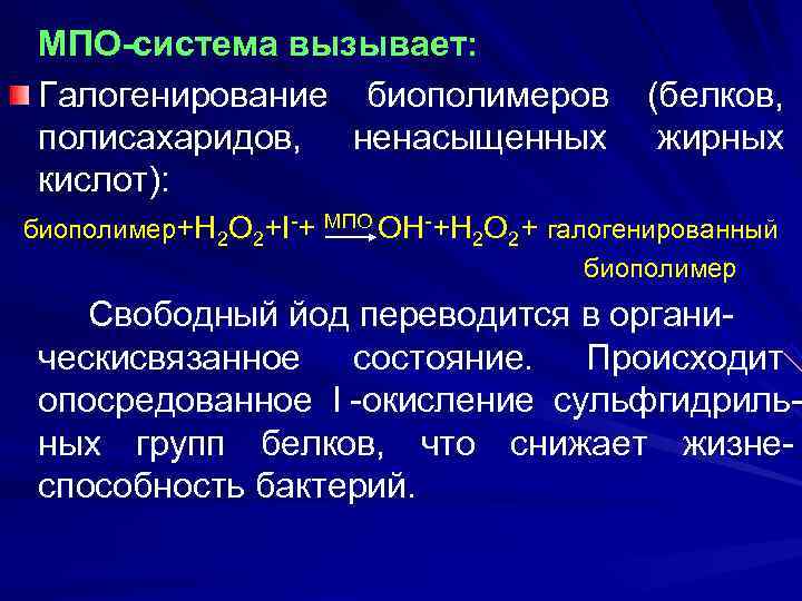  МПО-система вызывает:  Галогенирование биополимеров  (белков,  полисахаридов, ненасыщенных   жирных