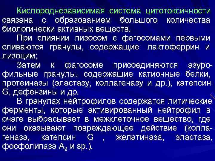   Кислороднезависимая система цитотоксичности связана с образованием большого количества биологически активных веществ. При