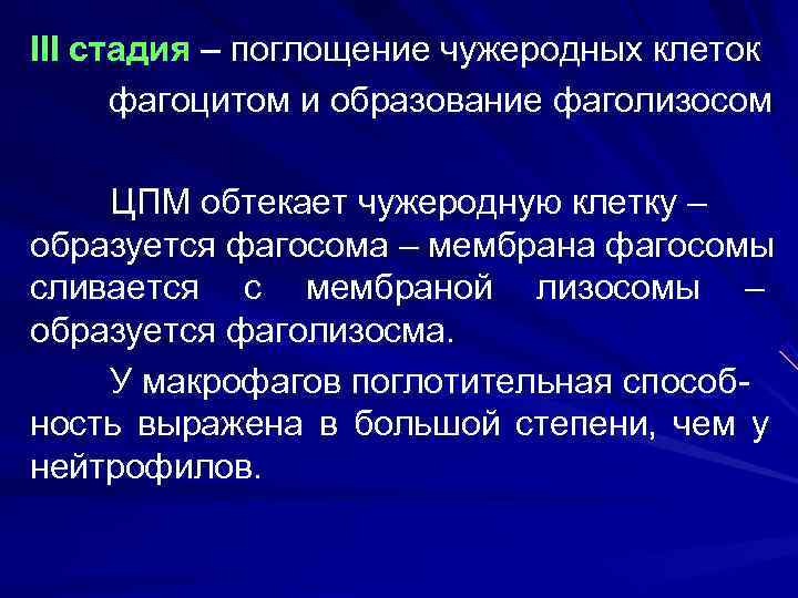 III стадия – поглощение чужеродных клеток  фагоцитом и образование фаголизосом ЦПМ обтекает чужеродную