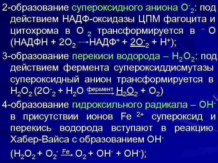 Схема образования активных форм кислорода