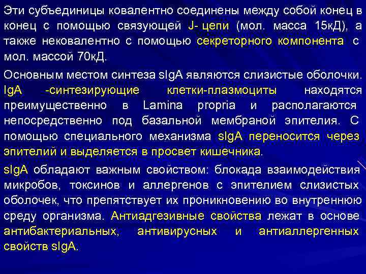 Эти субъединицы ковалентно соединены между собой конец в конец с помощью связующей J- цепи Эти субъединицы ковалентно соединены между собой конец в конец с помощью связующей J- цепи