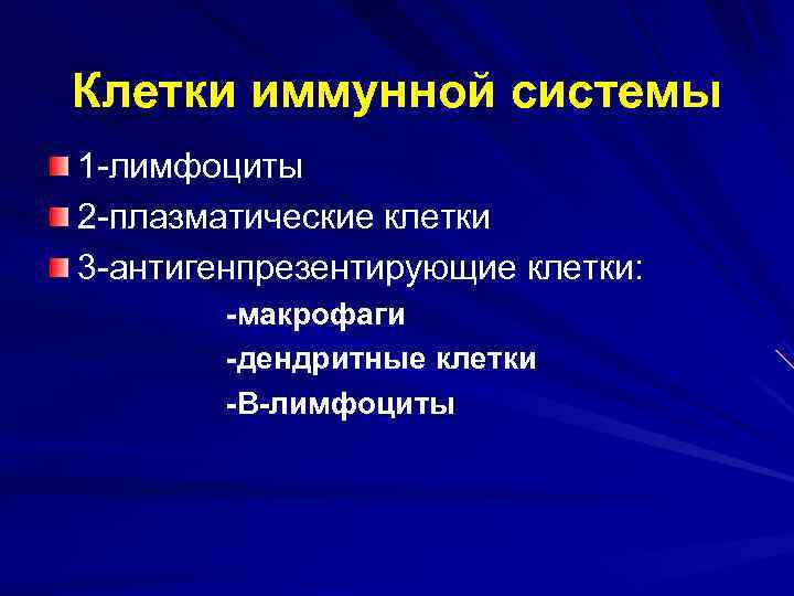 Клетки иммунной системы 1 -лимфоциты 2 -плазматические клетки 3 -антигенпрезентирующие клетки:   -макрофаги