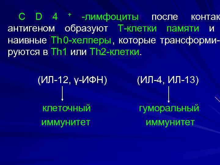  С D 4 + -лимфоциты после контак антигеном образуют Т-клетки памяти и наивные