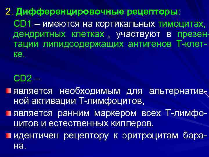 2. Дифференцировочные рецепторы:  CD 1 – имеются на кортикальных тимоцитах,  дендритных клетках