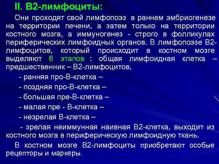  II. В 2 -лимфоциты:  Они проходят свой лимфопоэз в раннем эмбриогенезе на