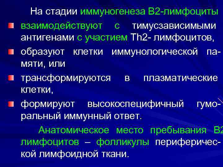  На стадии иммуногенеза В 2 -лимфоциты взаимодействуют с тимусзависимыми антигенами с участием Th