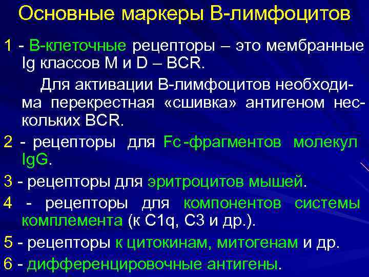  Основные маркеры В-лимфоцитов 1 - В-клеточные рецепторы – это мембранные  Ig классов