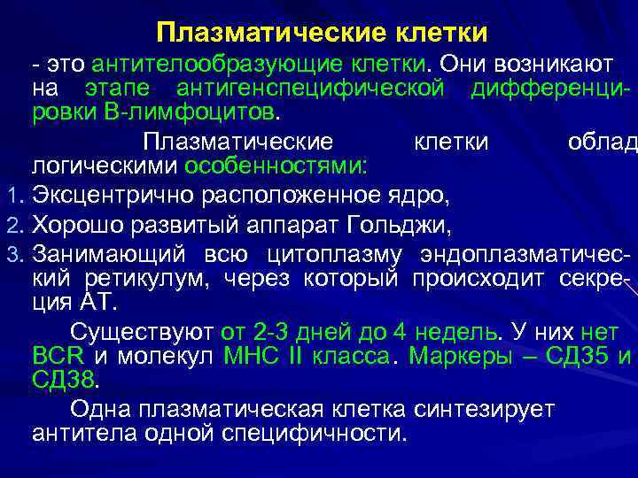 Что значит плазматические клетки. Морфофункциональная характеристика плазмоциты. Характеристика плазматических клеток. Характеристика плазмоцита. Антителообразующие клетки функции.