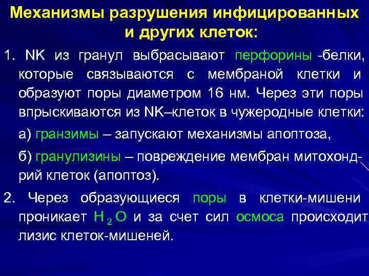 Механизмы разрушения инфицированных   и других клеток: 1. NK из гранул выбрасывают перфорины