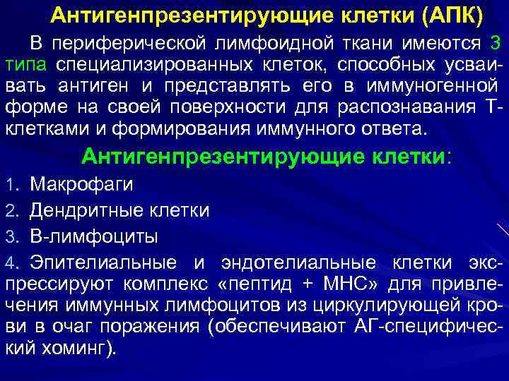  Антигенпрезентирующие клетки (АПК)  В периферической лимфоидной ткани имеются 3 типа специализированных клеток,