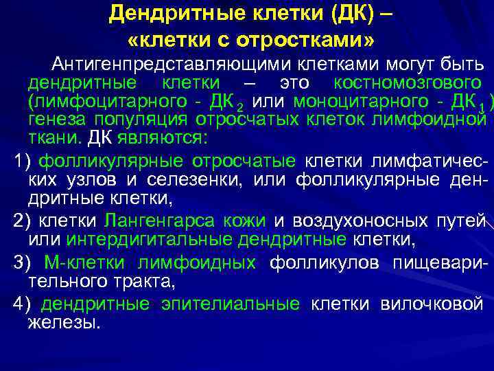    Дендритные клетки (ДК) –   «клетки с отростками»  Антигенпредставляющими