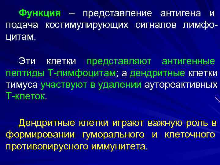 Функция – представление антигена и подача костимулирующих сигналов лимфо- цитам. Эти клетки представляют