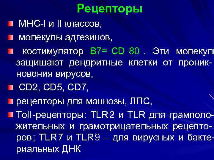   Рецепторы МНС-I и II классов,  молекулы адгезинов,  костимулятор В 7=
