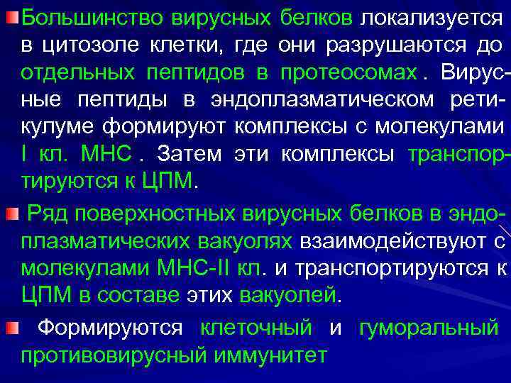 Большинство вирусных белков локализуется в цитозоле клетки, где они разрушаются до отдельных пептидов в