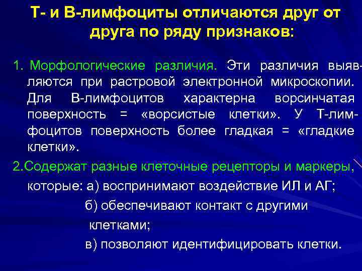  Т- и В-лимфоциты отличаются друг от  друга по ряду признаков:  1.