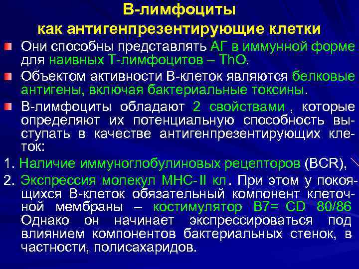    В-лимфоциты как антигенпрезентирующие клетки  Они способны представлять АГ в иммунной