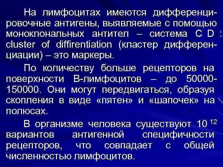   На лимфоцитах имеются дифференци- ровочные антигены, выявляемые с помощью моноклональных антител –