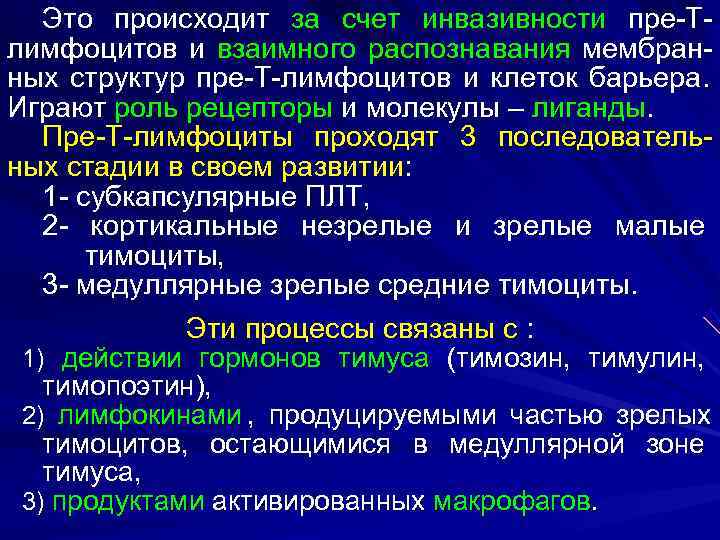   Это происходит за счет инвазивности пре-Т- лимфоцитов и взаимного распознавания мембран- ных