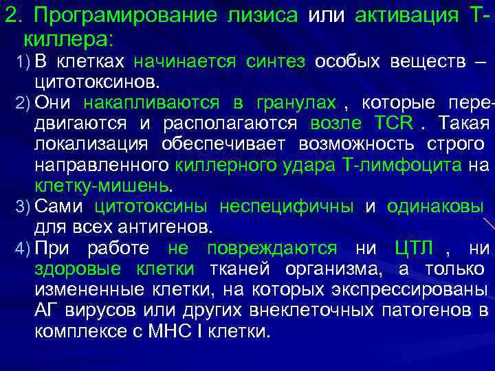 2. Програмирование лизиса или активация Т-  киллера: 1) В клетках начинается синтез особых