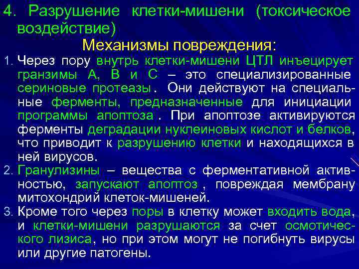 4. Разрушение клетки-мишени (токсическое  воздействие)  Механизмы повреждения: 1. Через пору внутрь клетки-мишени