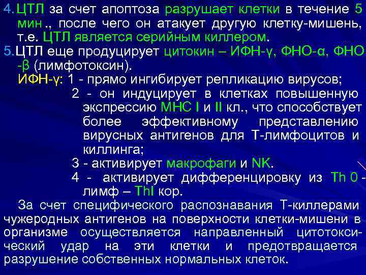 4. ЦТЛ за счет апоптоза разрушает клетки в течение 5  мин. , после