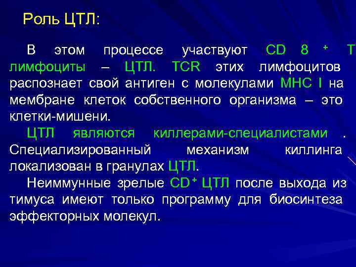  Роль ЦТЛ:  В этом процессе участвуют CD 8 + Т лимфоциты –
