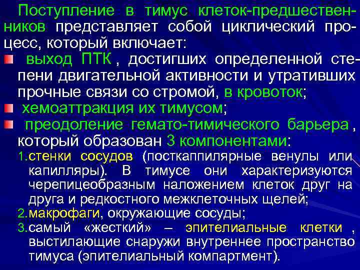  Поступление в тимус клеток-предшествен- ников представляет собой циклический про- цесс, который включает: выход