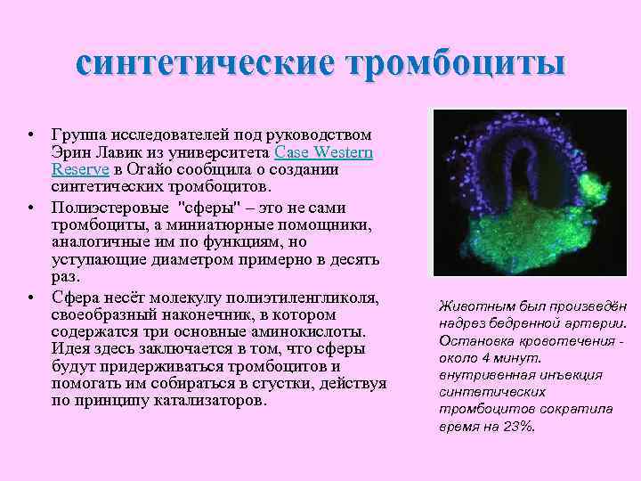  синтетические тромбоциты • Группа исследователей под руководством  Эрин Лавик из университета Case