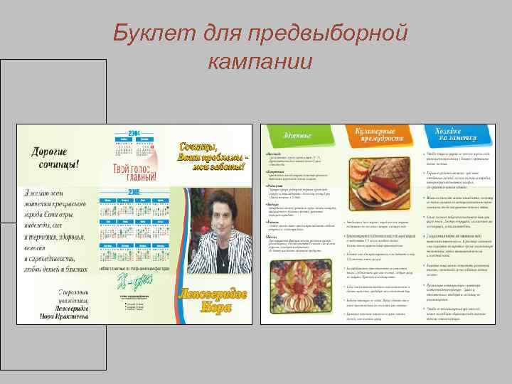        Буклет для предвыборной    