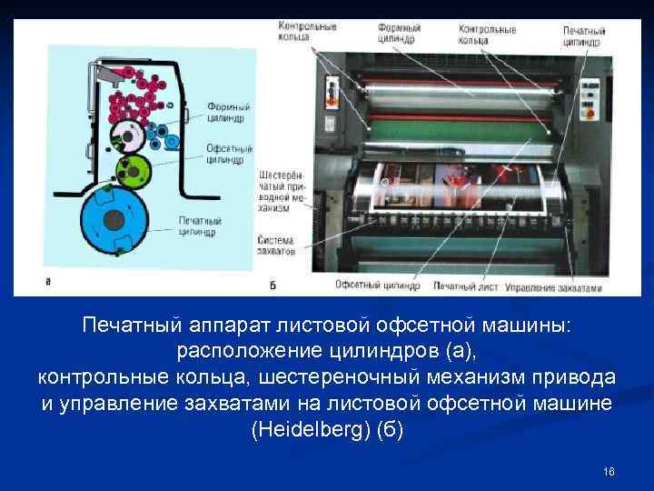   Печатный аппарат листовой офсетной машины:   расположение цилиндров (а), контрольные кольца,