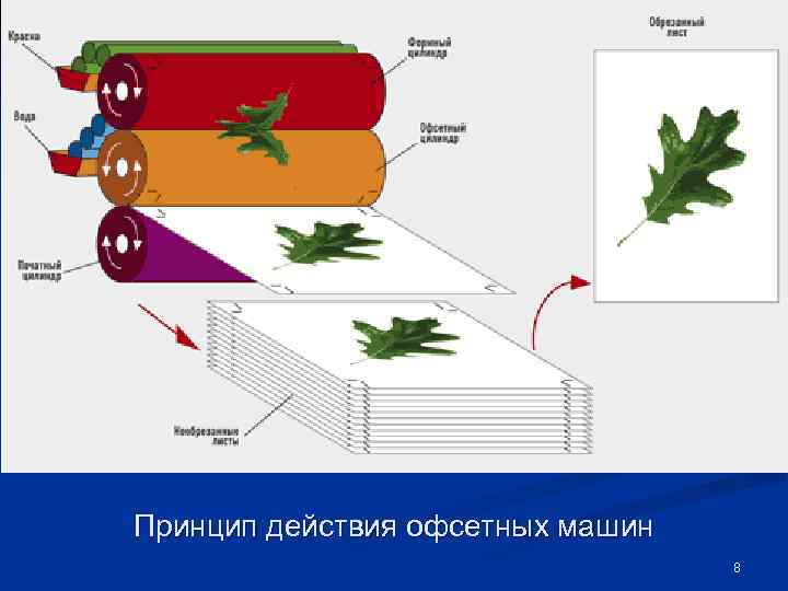 Принцип действия офсетных машин      8 