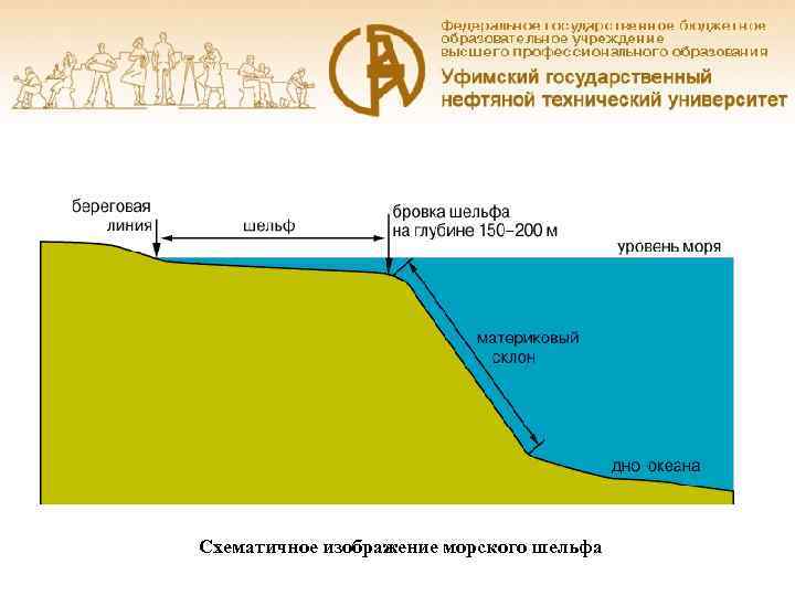 Схематичное изображение морского шельфа 