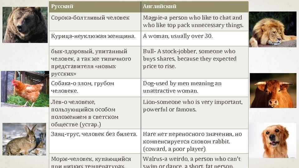 Зоометафора в языковой картине мира русского языка