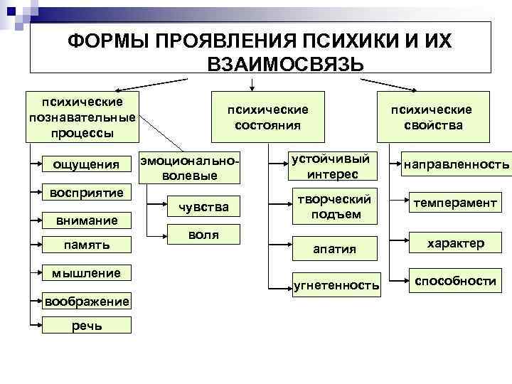  ФОРМЫ ПРОЯВЛЕНИЯ ПСИХИКИ И ИХ    ВЗАИМОСВЯЗЬ  психические  