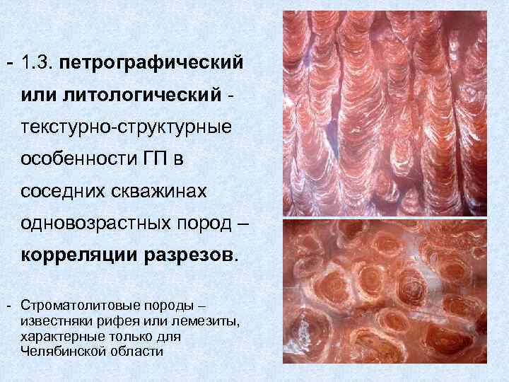 - 1. 3. петрографический или литологический - текстурно-структурные особенности ГП в соседних скважинах одновозрастных