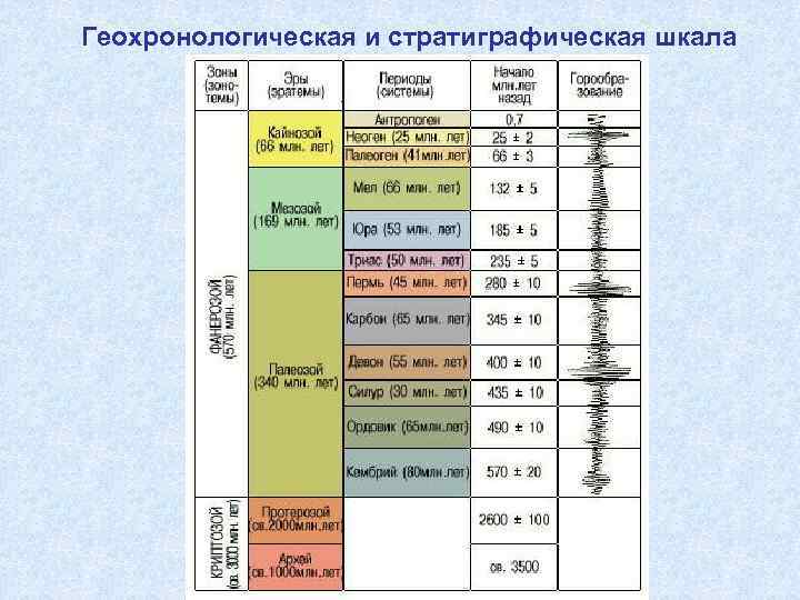 Геохронологическая и стратиграфическая шкала 