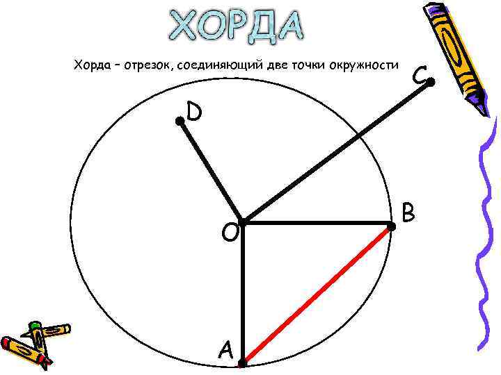 Хорда – отрезок, соединяющий две точки окружности     С  