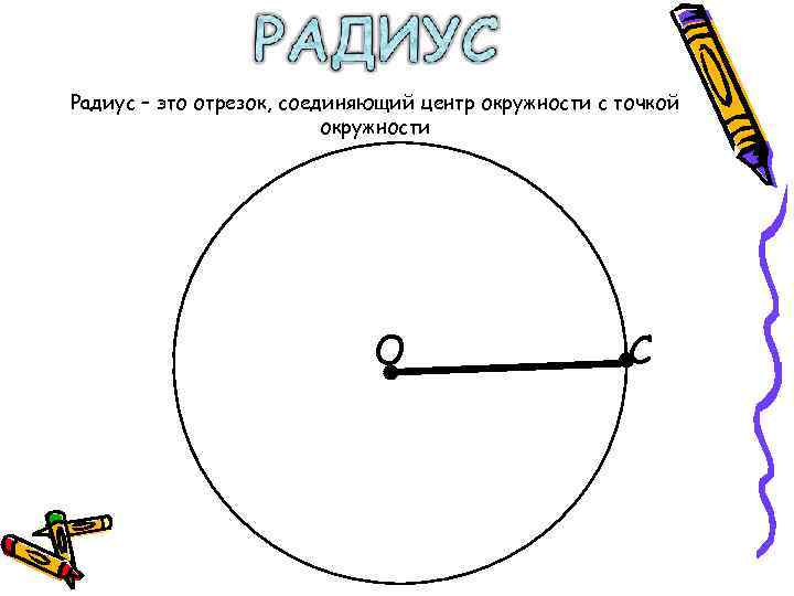 Радиус – это отрезок, соединяющий центр окружности с точкой     