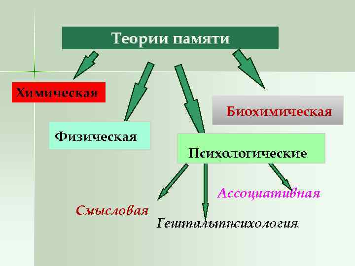    Теории памяти  Химическая      Биохимическая Физическая