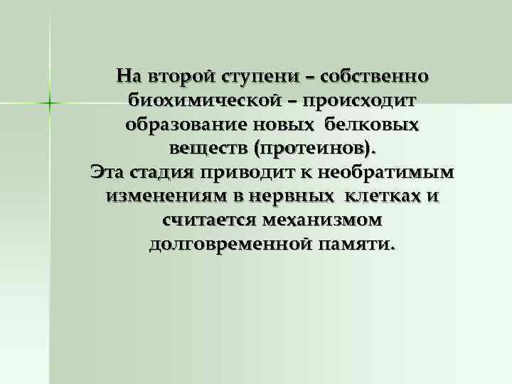  На второй ступени – собственно биохимической – происходит  образование новых белковых 