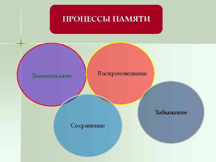 Запоминание воспроизведение забывание и. Процессы памяти. Процессы памяти воспроизведение. Три главных процесса памяти. Процессы памяти и их характеристика.