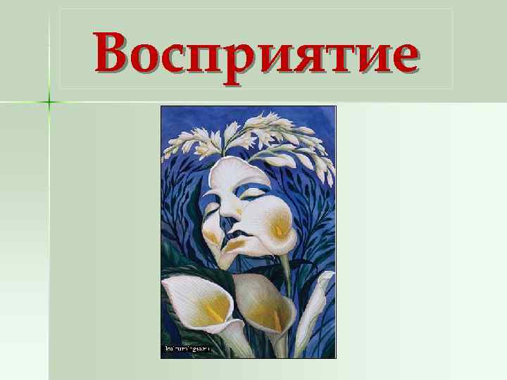 Восприятие 