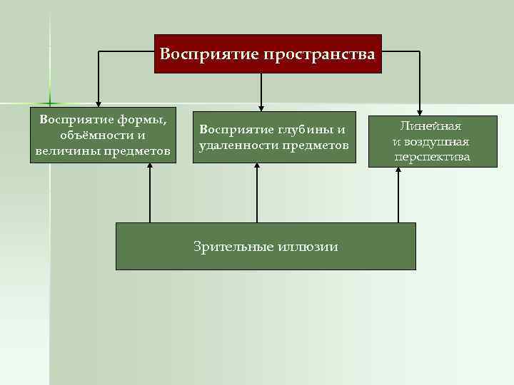     Восприятие пространства  Восприятие формы,     Линейная