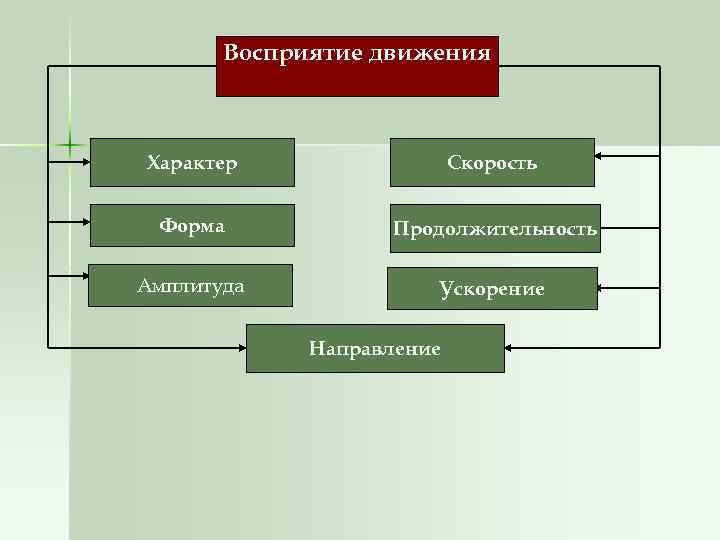 Принципы восприятия. Восприятие движения. Восприятие движения презентация. Движение в психологии. Восприятие скорости движения.